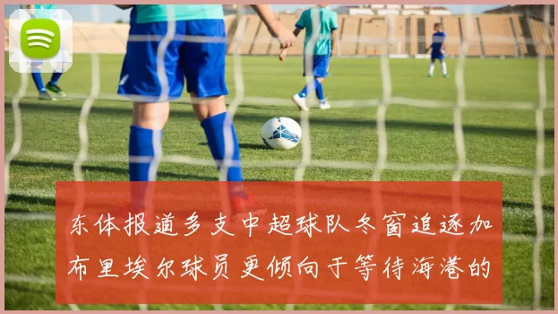 东体报道多支中超球队冬窗追逐加布里埃尔球员更倾向于等待海港的机会