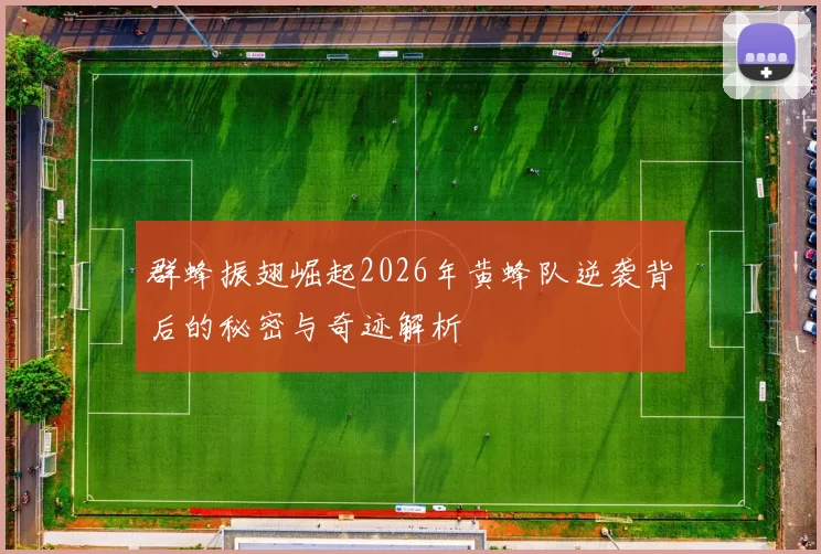 群蜂振翅崛起2026年黄蜂队逆袭背后的秘密与奇迹解析