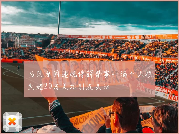 戈贝尔因违规停薪禁赛一场个人损失超20万美元引发关注