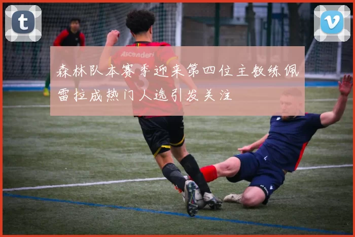 森林队本赛季迎来第四位主教练佩雷拉成热门人选引发关注